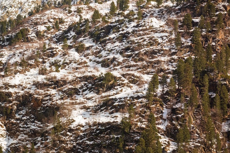 Mountain Escape